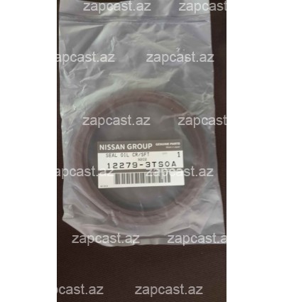 Nissan Pathfinder 2004-2012 salnik kolenval arxa 2.5 dizel 